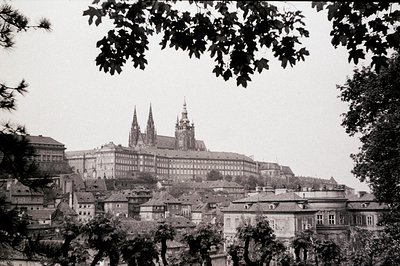 A view of Prague Castle, Czech Republic, framed by foliage. The castle complex dominates the scene, featuring towers and orna...