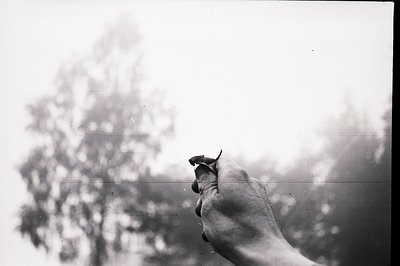A close-up, black and white photograph shows a person’s hand holding a small bird. The bird appears to be a fledgling, with a...