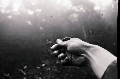 A close-up, black and white photograph depicts a hand gently cradling a small bird. Appears to be a contact sheet print, show...