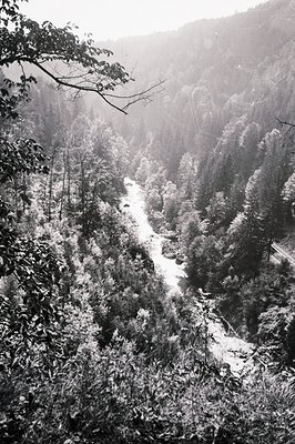 A winding river cuts through a densely forested valley, likely a mountain landscape. Thick foliage dominates the view, with a...