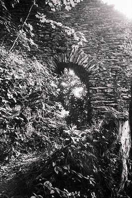 A weathered stone archway, partially overgrown with foliage, frames a bright, sunlit opening. The stonework exhibits a rustic...