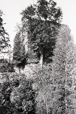 A rugged stone wall, possibly a fortification or ruin, rises from a hillside, heavily overgrown with ivy and supporting a mat...