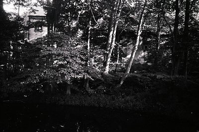 A stark black and white image captures a cottage nestled within dense foliage. The building’s steeply pitched roof and single...