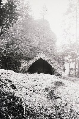 Stone archway framed by dense foliage, likely a ruin or remnant of a historical structure. Rough-hewn stone construction, pos...