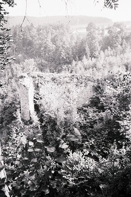 Dramatic view of a stone retaining wall, partially overgrown with vegetation, situated on a steep slope. Dense forest fills t...