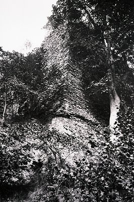 Overgrown stone wall, possibly a remnant of an ancient structure or fortification. Dense foliage obscures lower portions, hig...