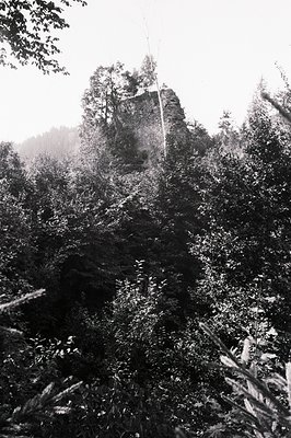 Towering stone castle ruins rise above a dense, forested hillside. Likely a medieval defensive structure, showing weathered s...