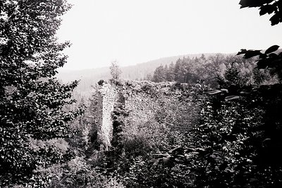 Ruined stone structure overlooks a dense, forested hillside, partially obscured by foliage in the foreground. Likely a remnan...