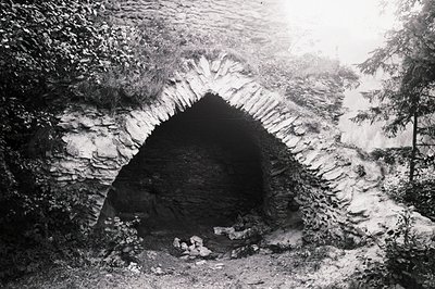 An arched stone structure, possibly a tunnel entrance or folly, is framed by overgrown vegetation. The stonework shows signs ...