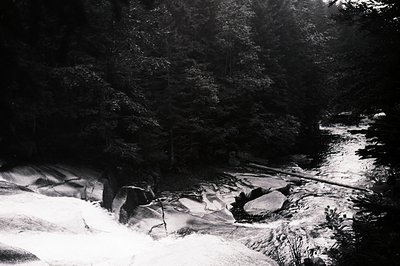 Striking aerial view captures a rugged, rocky riverbed carved into a dense evergreen forest. The stark contrast highlights th...