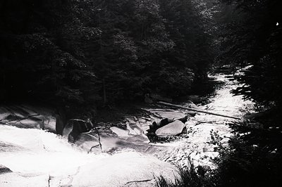 Dramatic black and white photograph depicting a rocky stream bed partially obscured by dense foliage. Sharp contrasts highlig...
