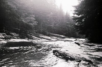 A rushing stream flows through a dense, forested ravine. Dark, shadowed trees line both banks, creating a stark contrast with...