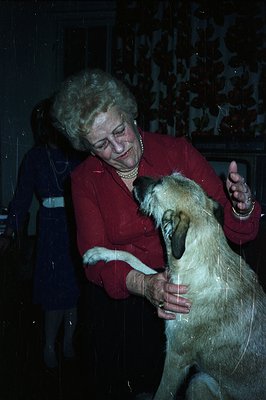 A woman in a red shirt interacts with a large, sandy-colored dog. She appears to be petting the animal with affection. The ba...