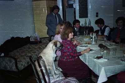 A formal dinner scene, likely a family gathering. Guests sit around a table covered in a patterned tablecloth, enjoying a mea...