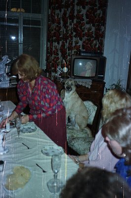 A candid snapshot captures a casual family gathering. A golden retriever sits alert near a dining table set with patterned pl...
