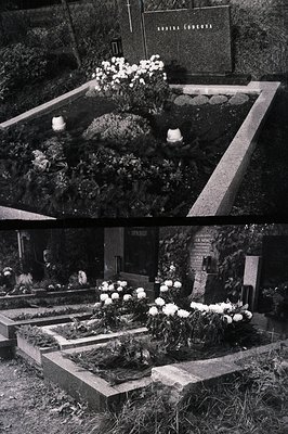 Monochrome image of a tiered graveyard featuring ornate, inscribed headstones and meticulously maintained white flowerbeds. S...