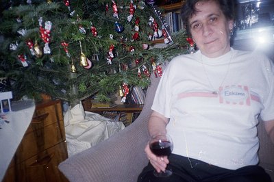 A person sits on a plush armchair, holding a glass of red wine, with a decorated Christmas tree in the background. Likely a c...