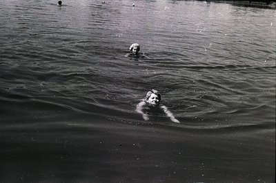 Two figures swim in dark water, ripples disturbed by their motion. The foreground swimmer's face is visible, looking upwards....