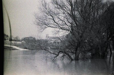 Flooded landscape; a bare tree dominates the foreground, mirrored in still, dark water. A village with a church spire is visi...