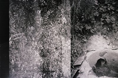 Striking, high-contrast B&W study of overgrown ruins emerging from dense foliage. Likely depicting remains of a stone structu...
