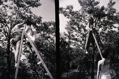 A young woman ascends a metal ladder set against lush foliage. She's dressed in a patterned sundress, appearing to reach upwa...