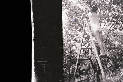 A woman ascends a wooden ladder through foliage, viewed from behind. The image has a grainy, black-and-white aesthetic, sugge...