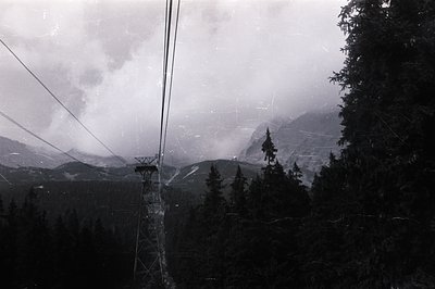 A vintage black and white image captures a cable car ascending through a dense, misty alpine forest. Towering evergreens fram...