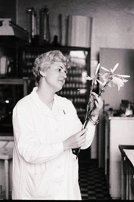 A botanist or researcher examines lily blooms within a laboratory setting. The woman, wearing a lab coat, displays a focused ...