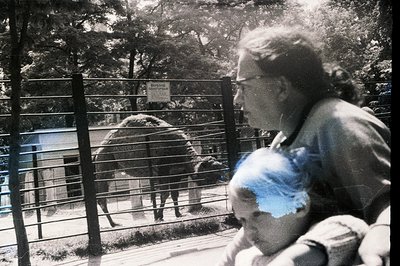 A man in glasses views a herd of llamas through a fence; a child is held close in the foreground. Appears to be a zoo or wild...