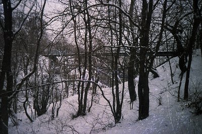 Snow-covered landscape featuring dense, bare trees and a gently sloping hillside. A bridge is visible in the distant backgrou...
