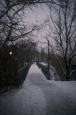 A snow-covered bridge stretches through a dense, leafless woodland. The bridge’s railing is visible against a blurred, gray l...