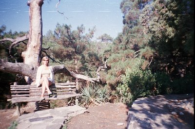 A young woman sits on a wooden bench beneath a gnarled pine tree. The bench rests on a stone platform overlooking a dense, fo...