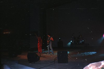 Concert stage captures a musician playing guitar alongside a vocalist in a flowing red dress. Stage lighting highlights perfo...