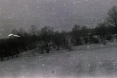 Monochrome photograph depicting a snow-covered landscape with a gentle slope. Bare deciduous trees populate the mid-ground, s...