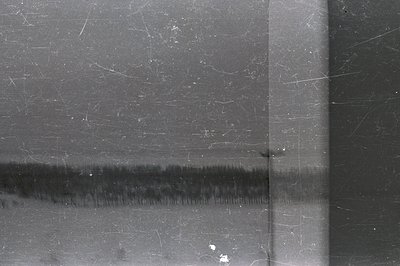 A long, low-horizon landscape depicting a line of dense trees mirroring across a still body of water. Visible dust, scratches...