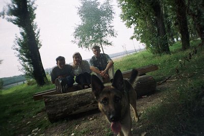 Three men sit on a rustic, wooden bench-like structure in a grassy park setting. A German Shepherd dog looks directly at the ...
