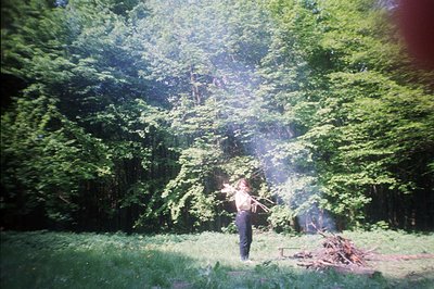 Lush forest scene with a person standing near a small, active campfire. The individual, facing away, appears to be holding br...