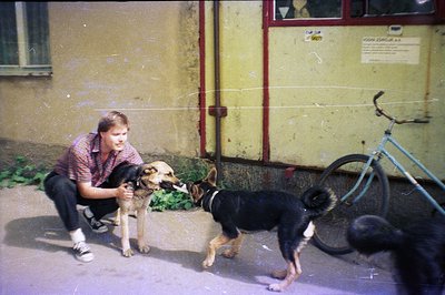 A young man wearing a checkered shirt kneels interacting with two German Shepherd dogs in a concrete courtyard. A bicycle is ...