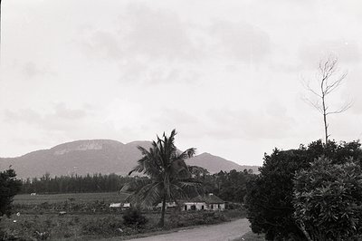 A rural landscape with a palm tree dominating the midground. Simple dwellings and cultivated fields extend toward a backdrop ...