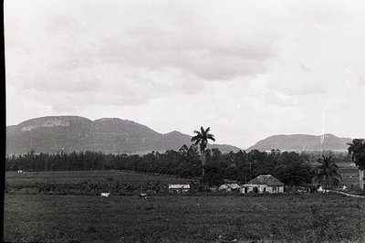 Expansive landscape shows a rural scene with a small settlement nestled among rolling hills. A few farm buildings and palm tr...