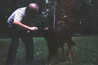 A man in dark trousers and a light-colored shirt examines a vintage camera on a grassy, wooded area. The dog, a Doberman or s...
