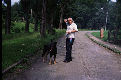 A man walks a Doberman Pinscher along a paved road bordered by greenery. He wears a short-sleeved shirt & dark pants; the dog...