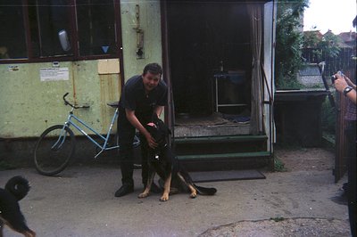 A man in a dark t-shirt interacts with a German Shepherd outside a weathered, green building. A blue bicycle is leaned agains...