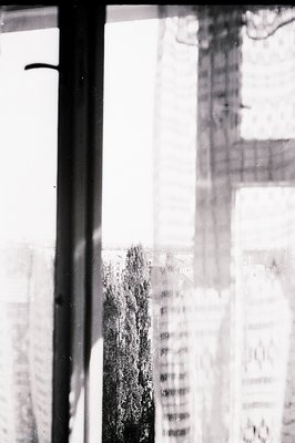 Exterior view through a window showcasing a cityscape and a solitary tree. Architectural details suggest modernist or brutali...