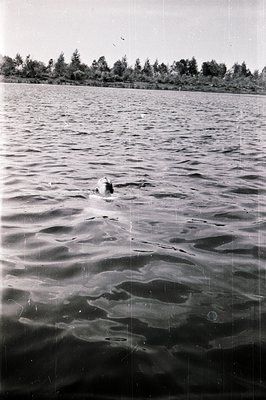 A black and white image depicts a person swimming in a body of water. The water’s surface is rippled, reflecting light. Trees...