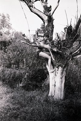 A young man, partially nude, perches confidently on a large tree branch amidst dense foliage. The image highlights the subjec...