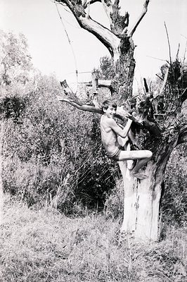 A shirtless boy clings to a gnarled tree branch in a rural setting. He wears shorts and appears to be playfully interacting w...