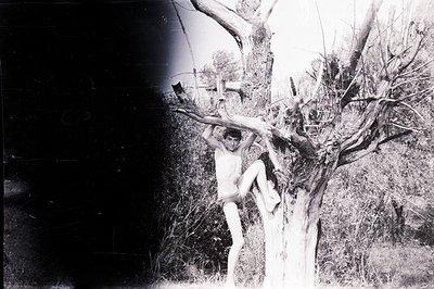 A shirtless young man hangs from a gnarled tree branch in a field of scrubby vegetation. The image, likely a snapshot, has vi...