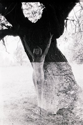 Striking, ethereal portrait of a woman in a flowing, sheer gown, posed beneath a large tree with outstretched arms. Appears t...