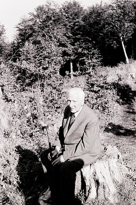 A seated gentleman with a walking stick rests on a tree stump within a wooded landscape. He wears a tweed suit and tie, sugge...